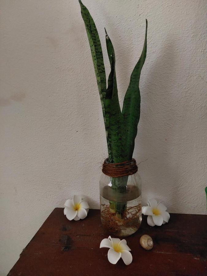 Homestay Casa De Viajeros Bacalar