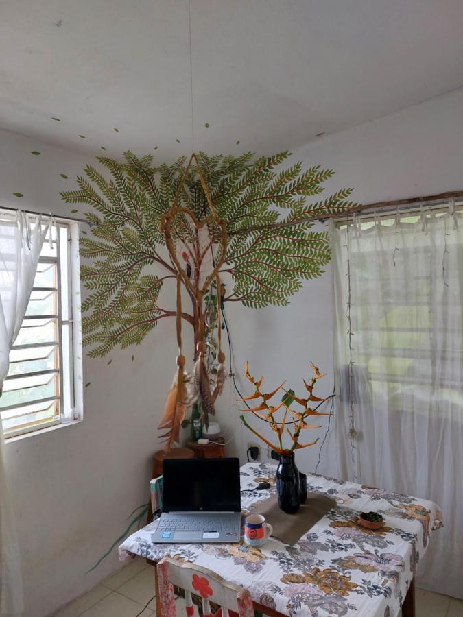 Homestay Casa De Viajeros Bacalar